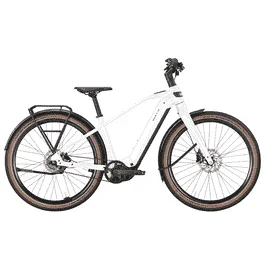 BULLS STURMVOGEL EVO – 29 Zoll 800Wh 5N Diamant – metallic off-white