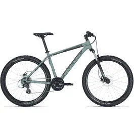 BULLS Wildtail 2 Disc 27.5 – 27.5 Zoll 24K Diamant – light emerald matt