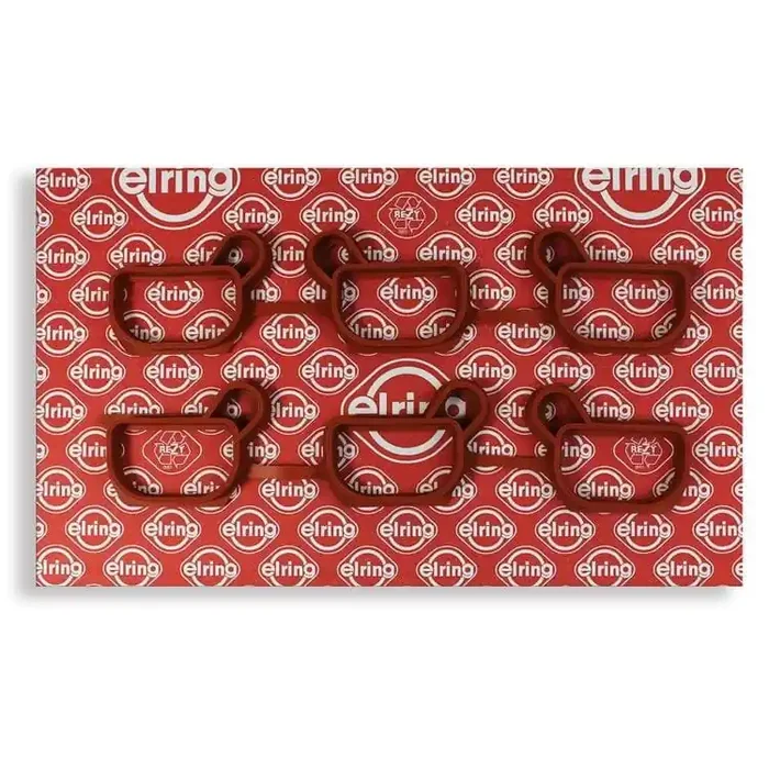 Elring Ansaugkrümmerdichtungssatz BMW 3 5 7 X3 X5 Z3 Z4