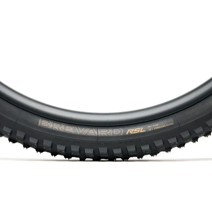 MTB tire Bontrager Brevard RSL if TLR