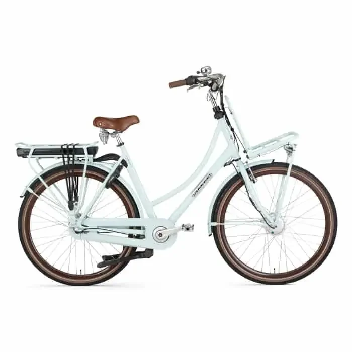 Popal Daily Dutch Prestige EN7 E-Bike City Bike Tiefeinsteiger 28″ grün 53 cm