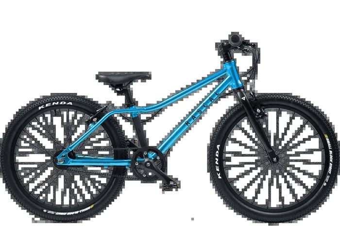 Rascal Bikes Rascal 20″ (Schaltung: Sturmey Archer 3-Gang ) Kinder-Fahrrad mit Riemen (nur 7,9 kg)