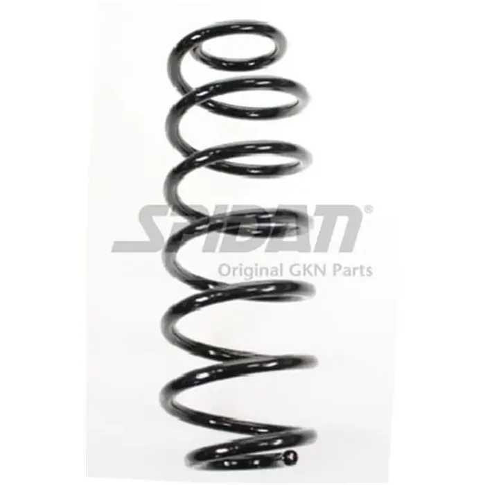 Spidan Feder hinten Ford Fiesta 6