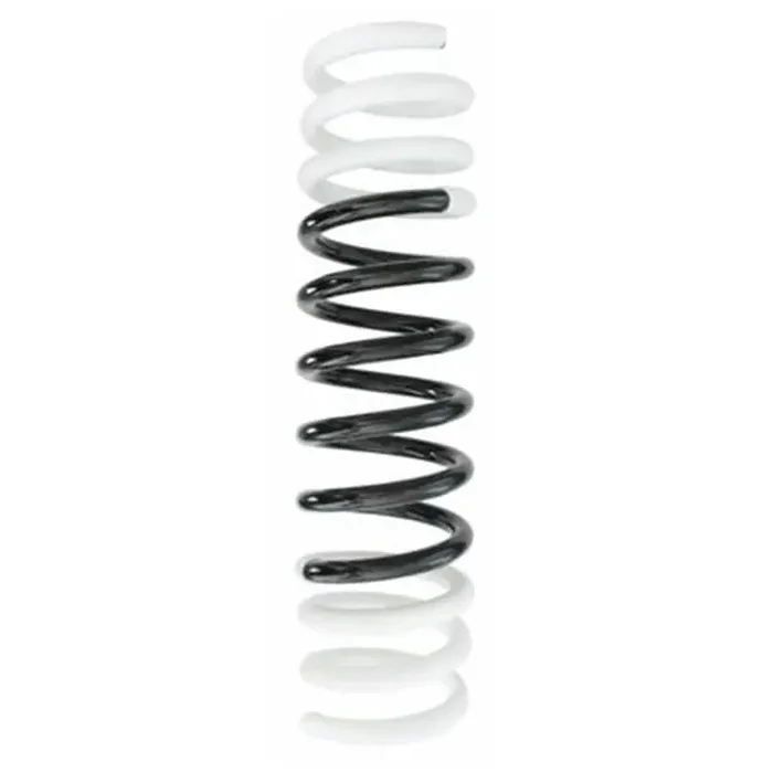 Spidan Feder hinten Ford Focus 2 Turnier