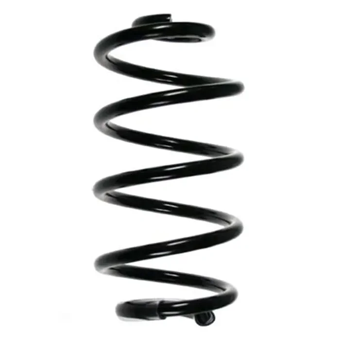 Spidan Feder hinten Renault Clio