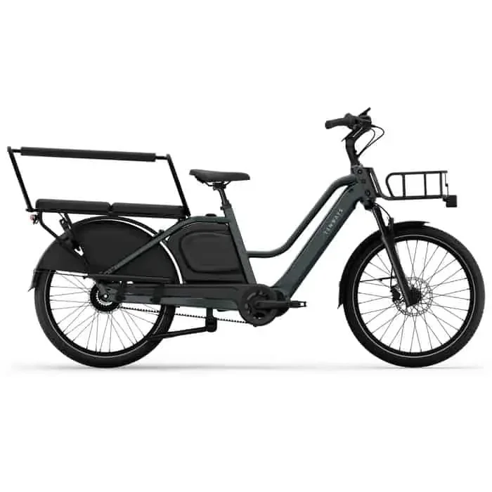 Tenways Longtail Duo E-Bike Lastenrad 24″ grau One Size