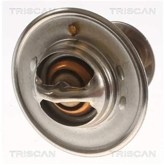 Triscan Thermostat Smart Fortwo 1.0