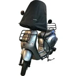 Windschutzscheibe-Abdeckung DS Covers Charly